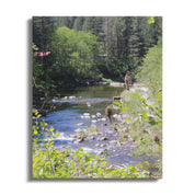 Scenic Forest River in Springtime Canvas product type