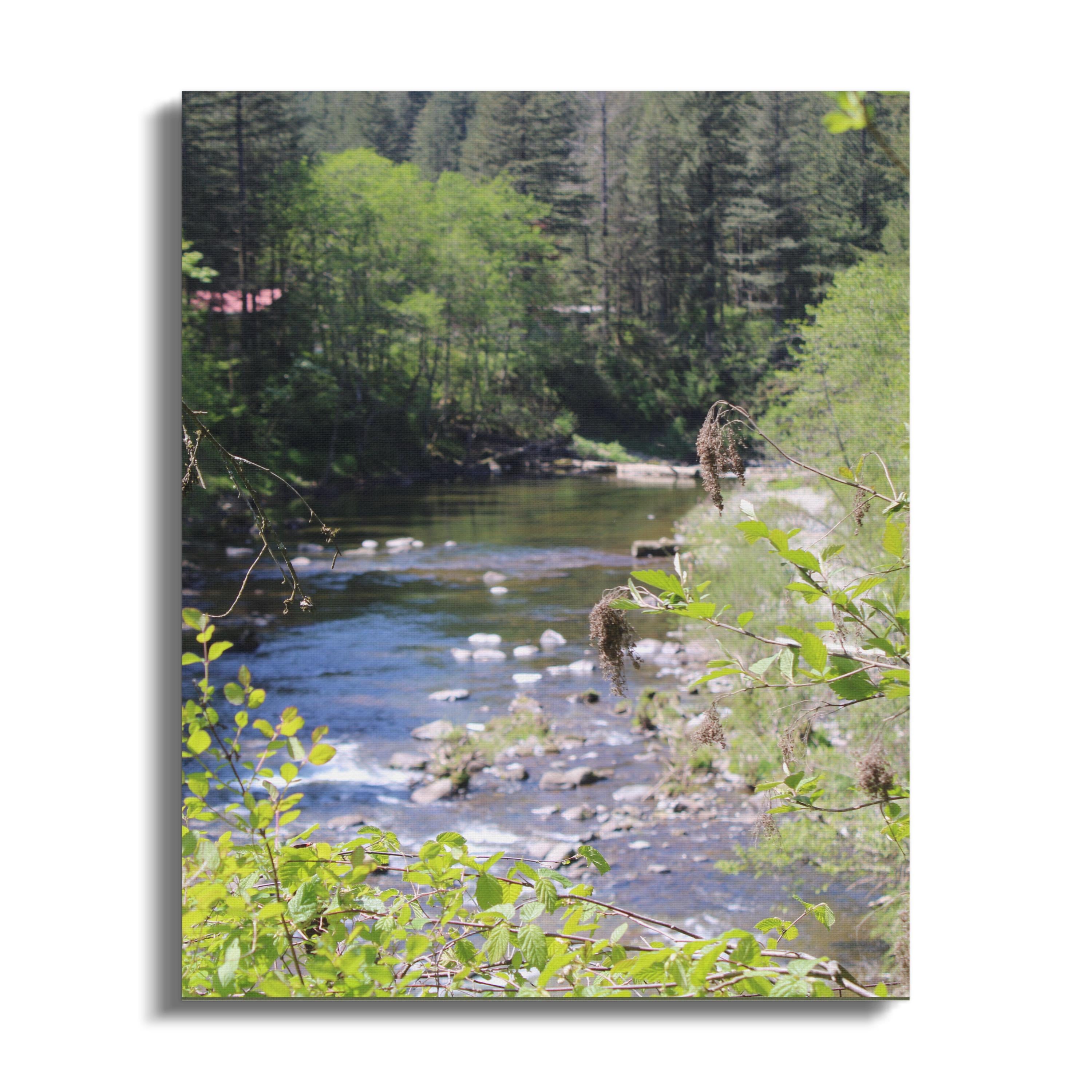 Scenic Forest River in Springtime Canvas product type