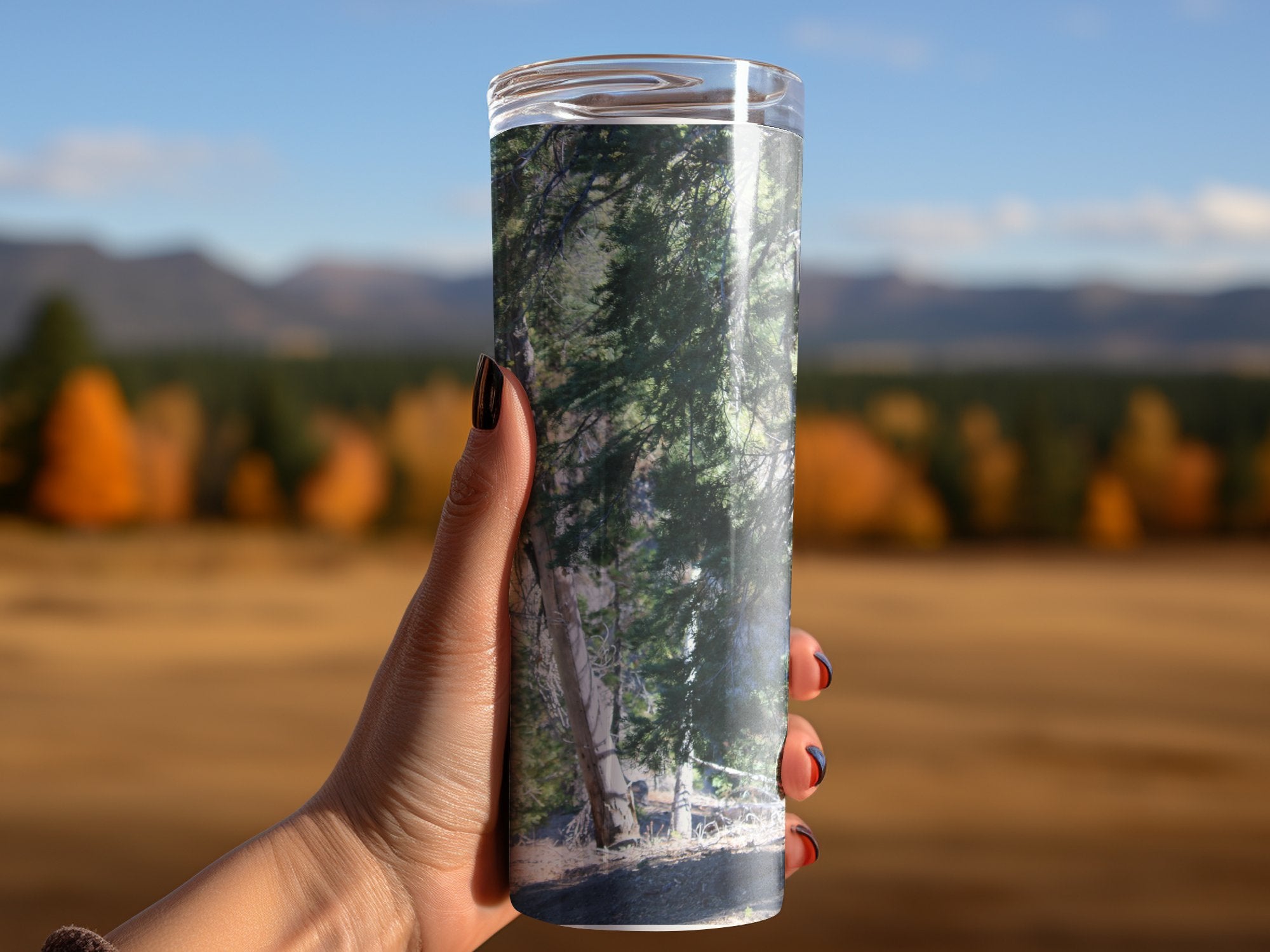 d90bb4d9-55d4-448a-9558-6c98dc6bf194