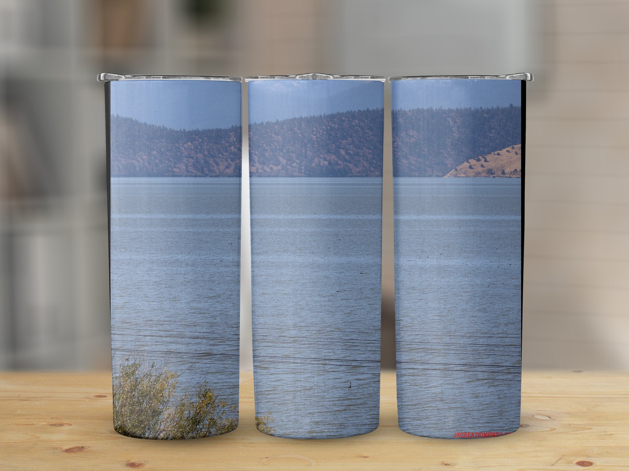 d92f7598-d4c6-41a3-b6f0-4ab6e8959074