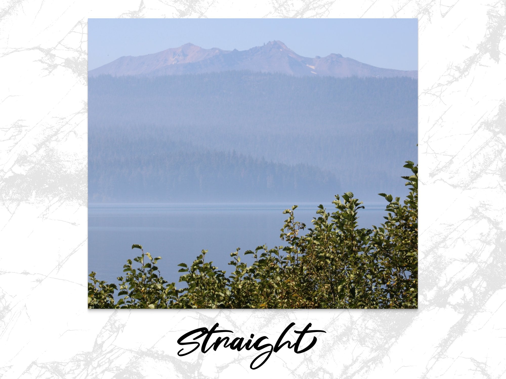 d9701ace-a4f7-4624-98cd-9c069d5c012b