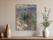 d98cd994-c37e-4ffd-bed5-8ece515b5a7b