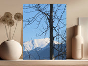 da073ba9-b3ca-4cc5-b0ef-ceef1c945e47