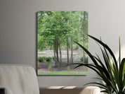 Serene Forest Canvas Wall Art for Empty Spaces product