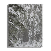 db9d40fd-fe8b-4cda-82d2-91c36d4337e6