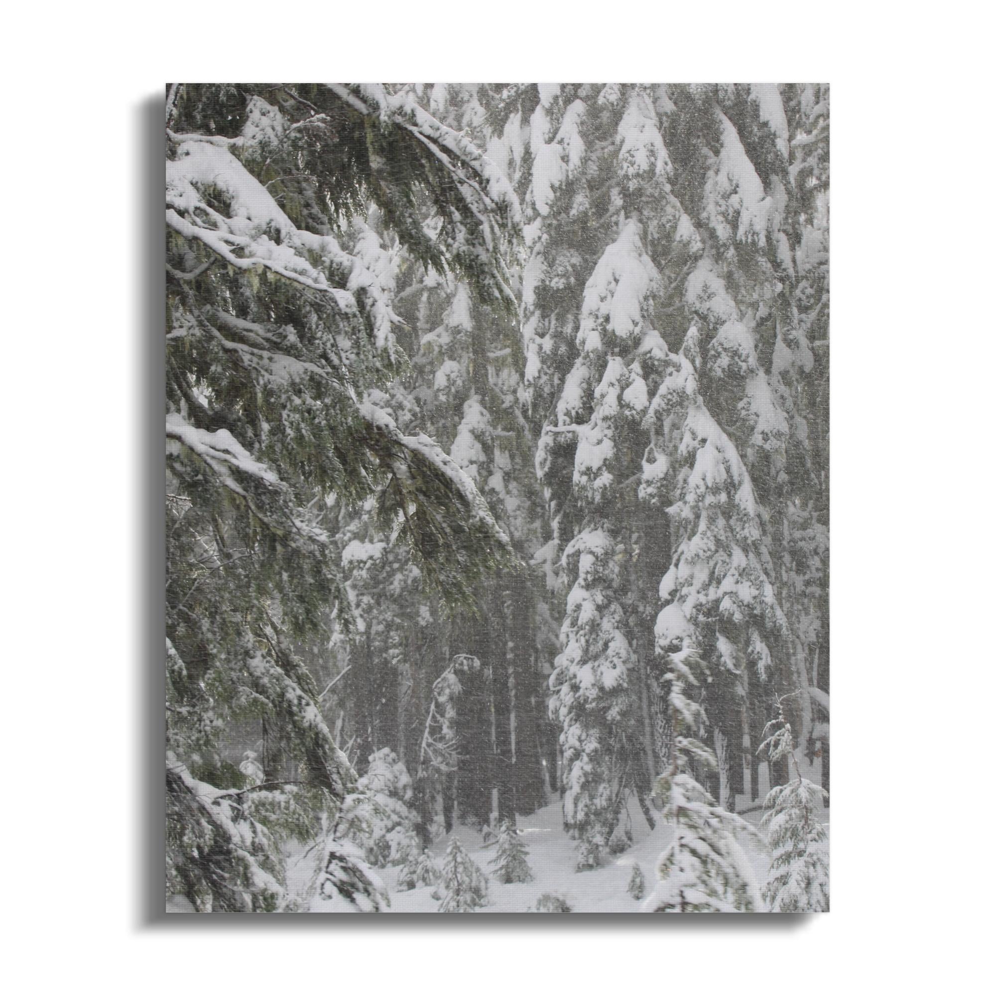 db9d40fd-fe8b-4cda-82d2-91c36d4337e6