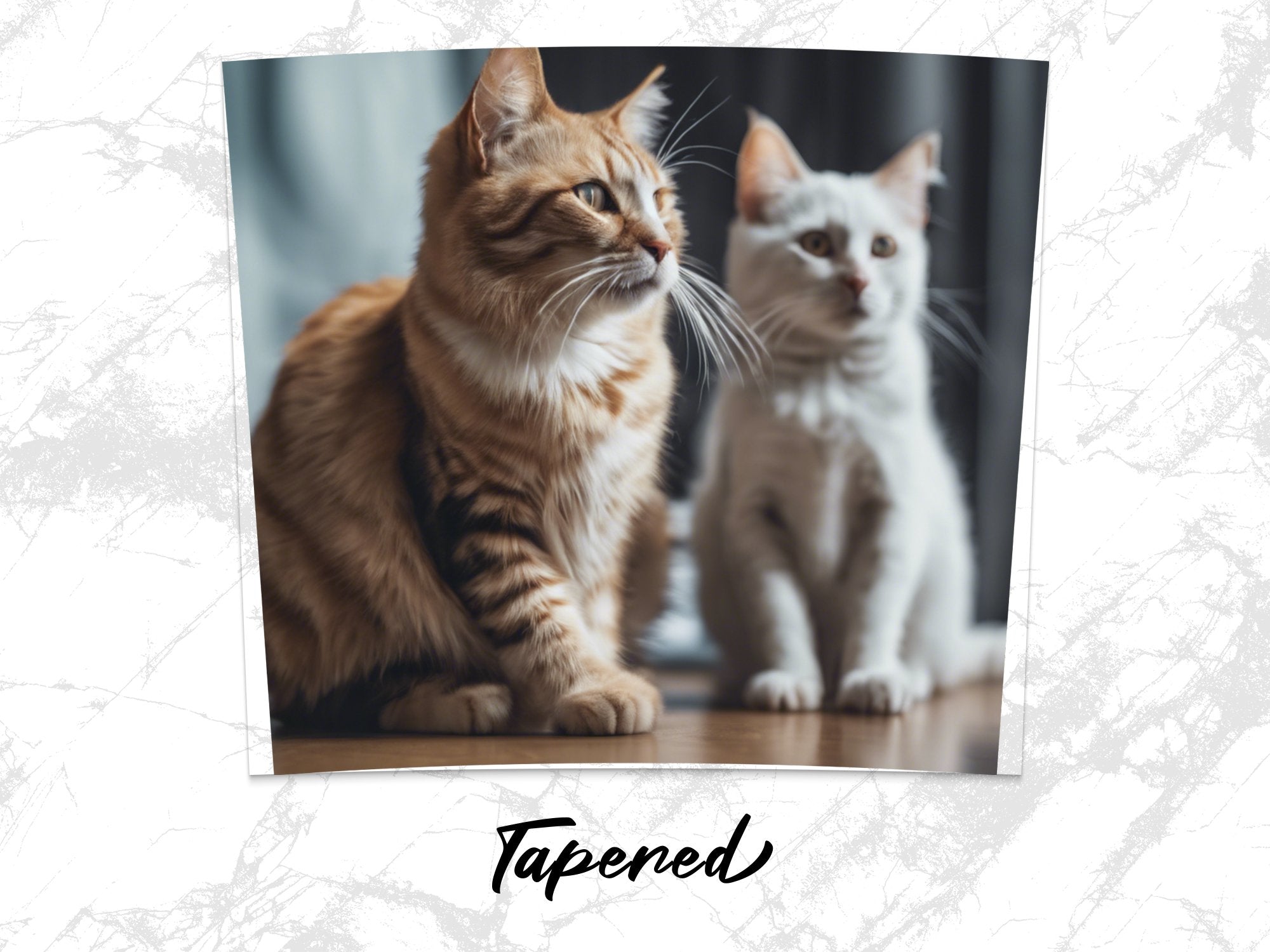 dbe6d395-a224-493b-93b5-356b0d3704a6