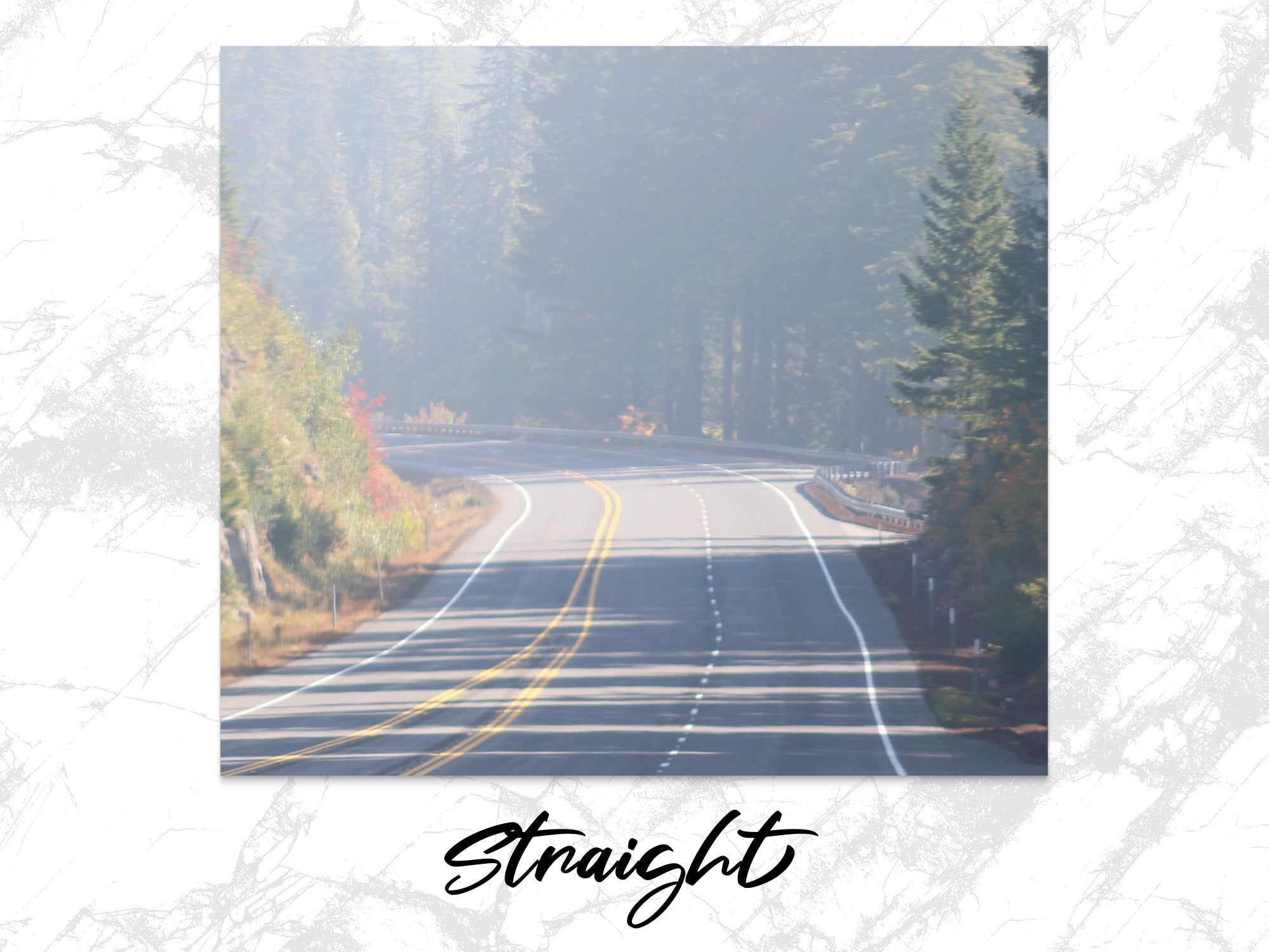 dc1ed76f-9526-4c68-9eaf-f605e65650e8