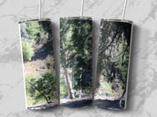 de25ccc4-f032-4c7e-9e3a-4b648953866e