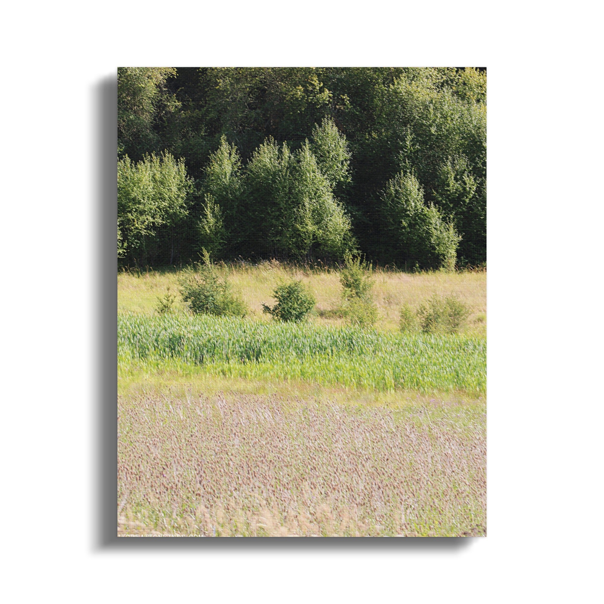 Serene Nature Landscape with Trees Canvas Print product type