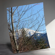 deed2231-b324-44c6-9693-a2b23df0cb32