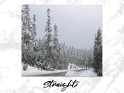 df227695-5be6-4bd6-9d57-5f0c1cd36bad