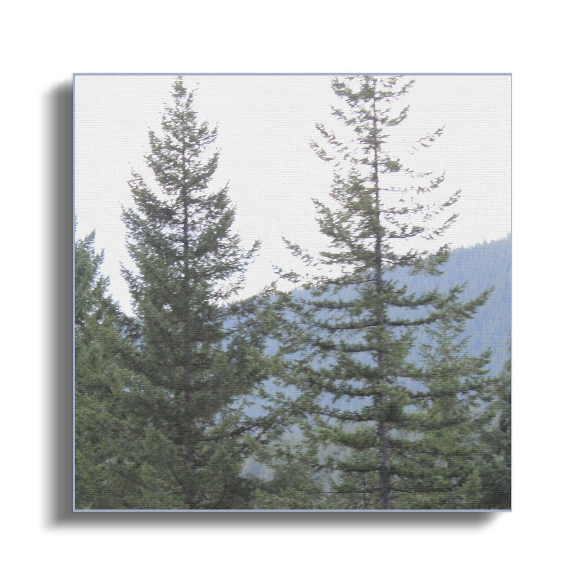 dfc7d269-6731-46f4-a84a-b38e37928473