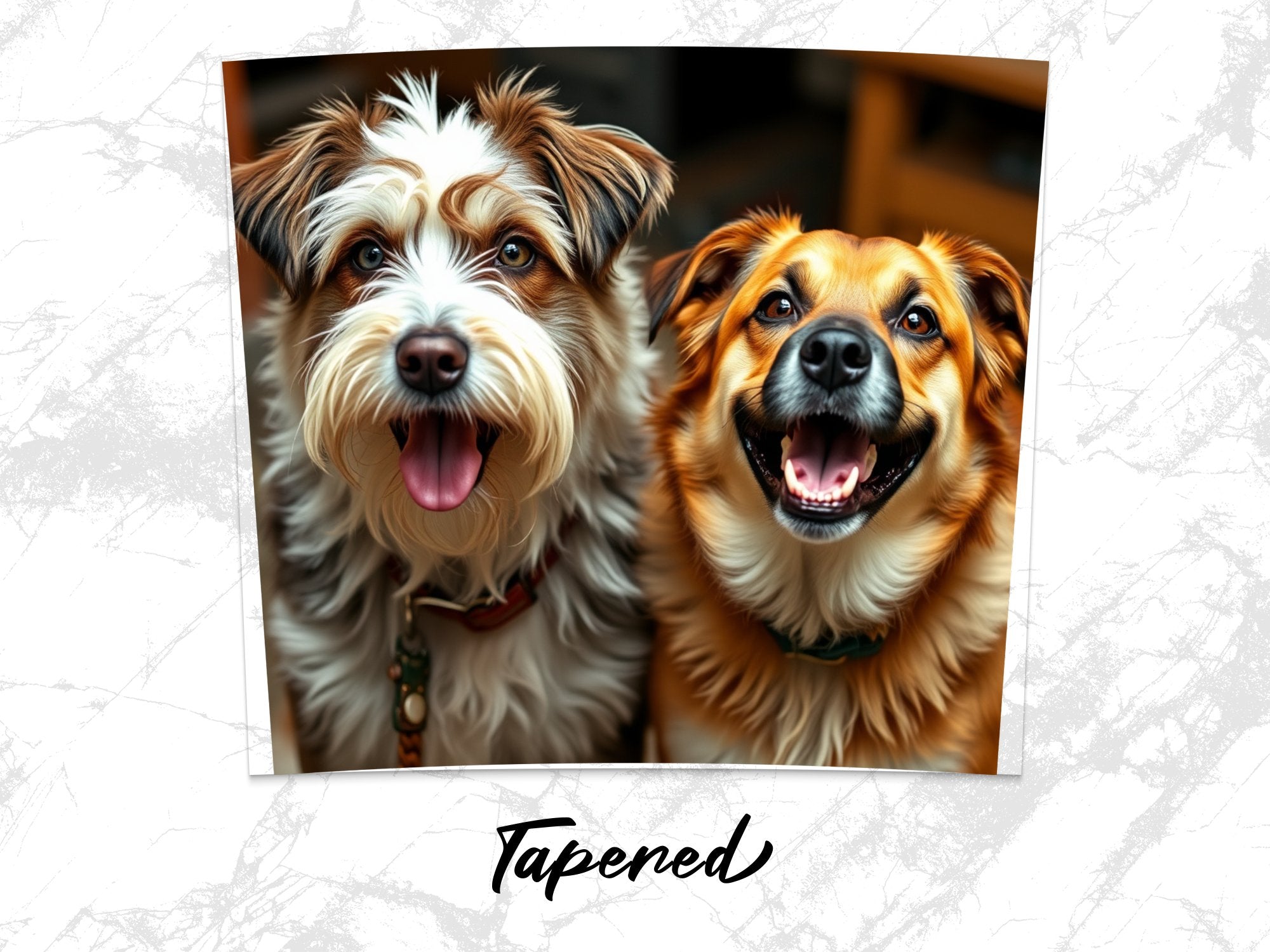 dfe45e0c-f058-4168-988e-aa55ad2675a6