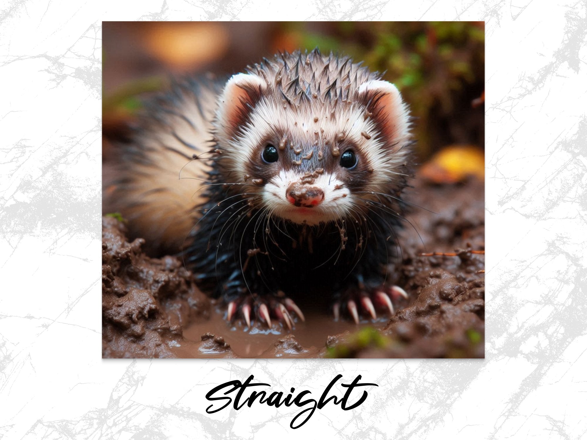 e107847b-1c80-47e6-a3c0-bc6481bfca5a