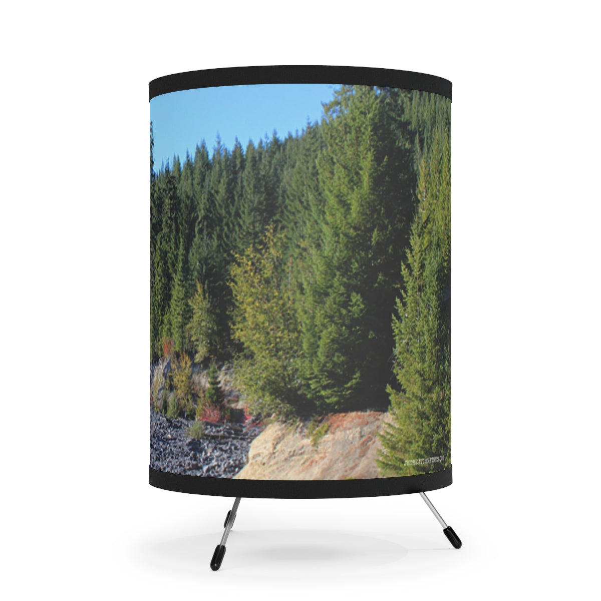 Scenic Forest Scene with Rocky Shore Lamp Product