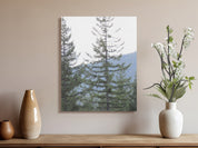 e1ababe2-d924-40b3-a395-2bf04333fcf3