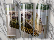 e1debcb2-6ac0-419a-b472-e7008d144280