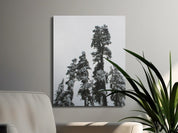 e293ad65-97a1-4987-9020-a9538583a93f