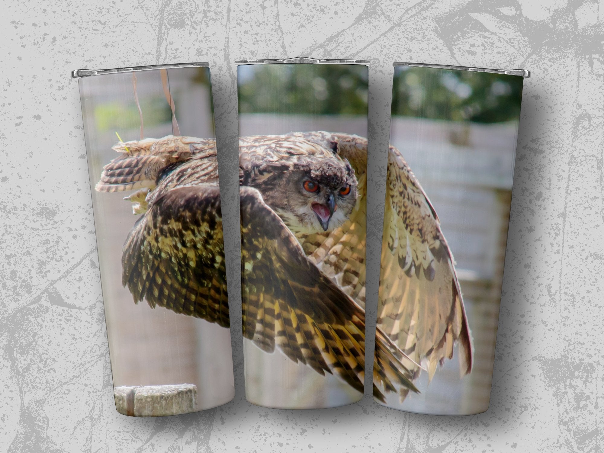 e2ca0357-c0db-4729-9402-769b0a1d8d65