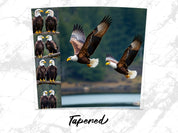 e2efe0f8-2952-4205-94b2-8a170c100396