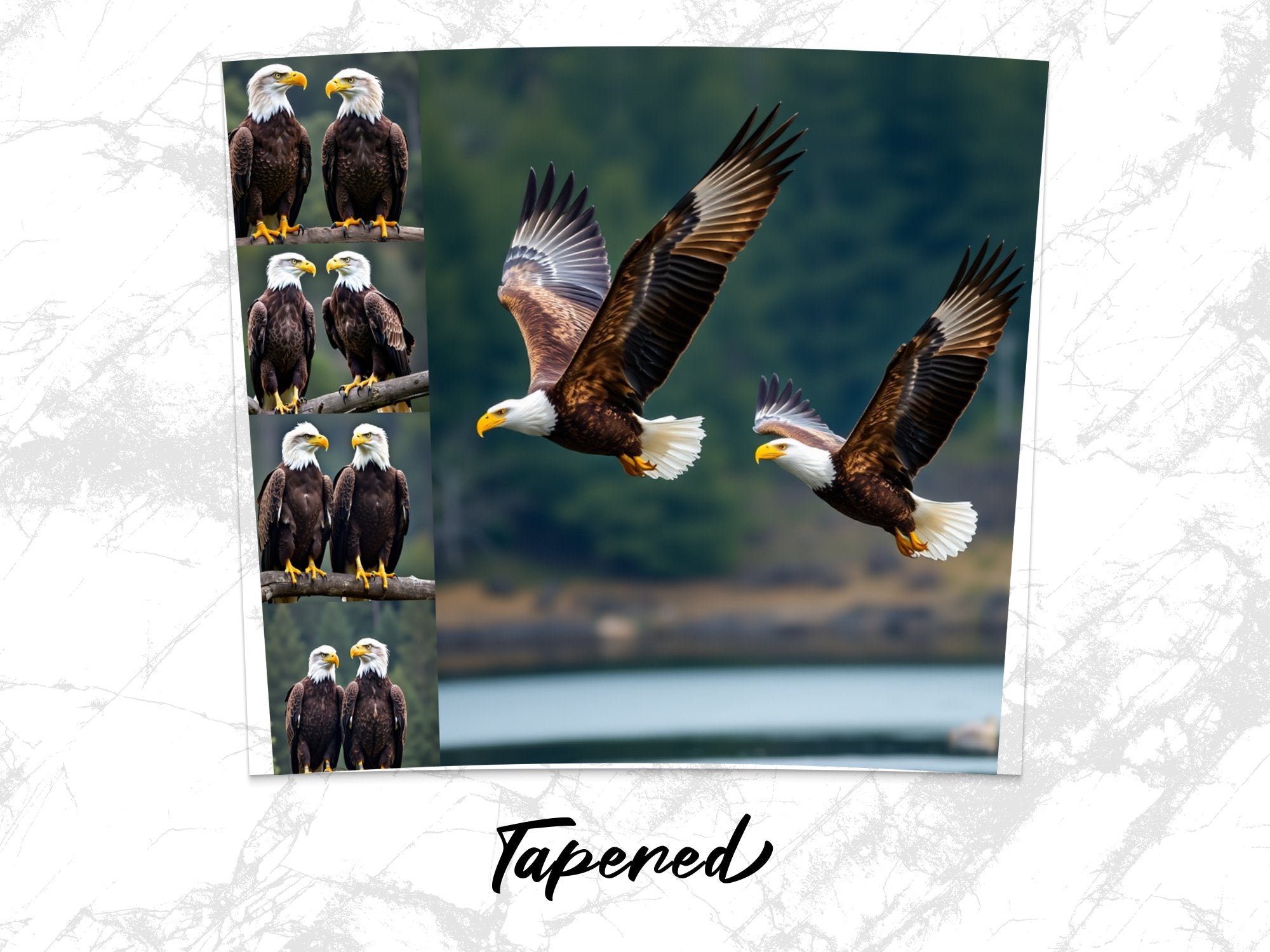 e2efe0f8-2952-4205-94b2-8a170c100396