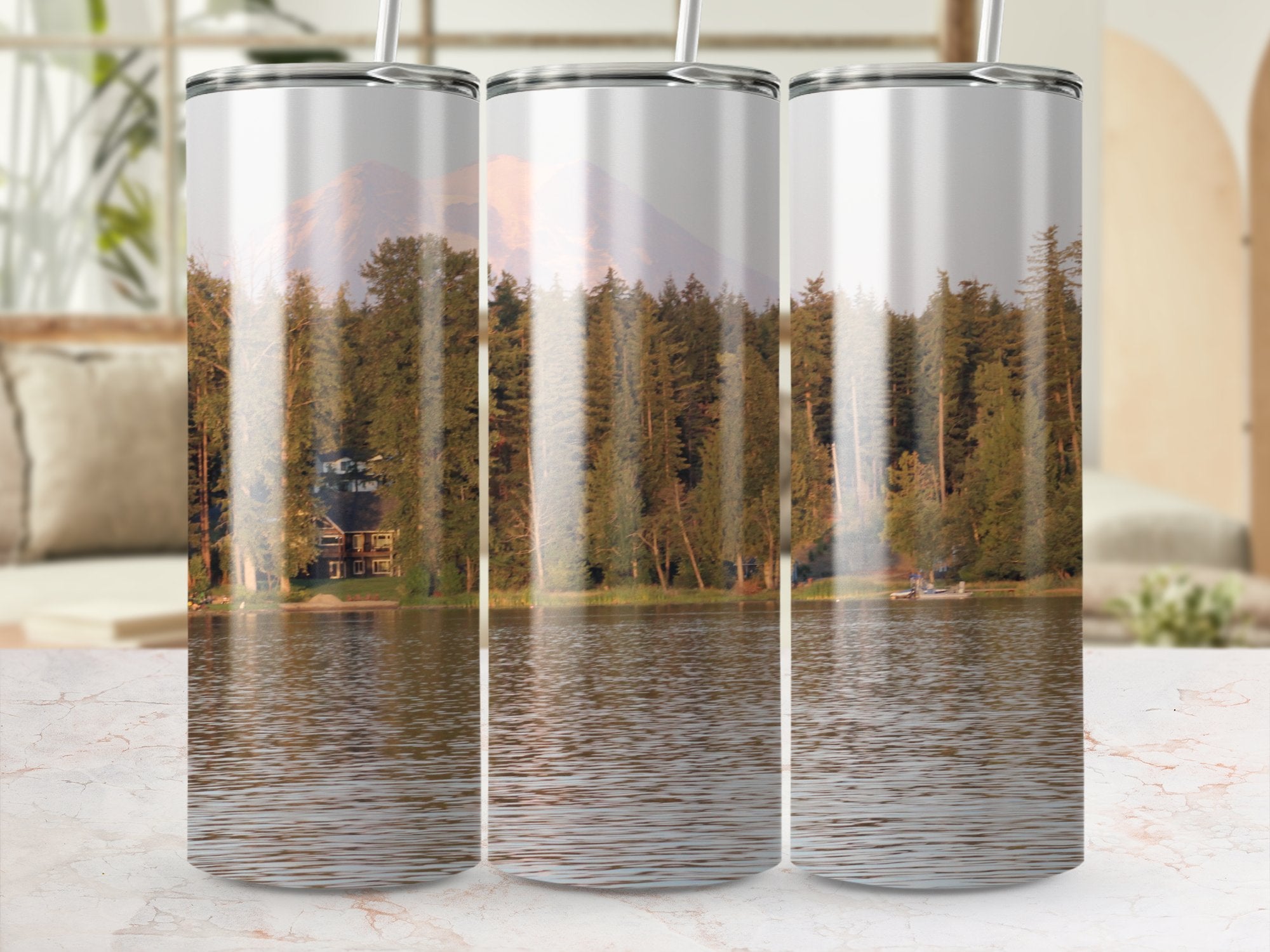 e3699d1a-31de-4f86-86d9-54d250c8490c