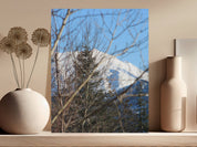 e36f28bd-5131-4c9e-a6c4-a0b30b6e1604