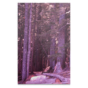 e37690f6-b8d4-4a40-9a99-da37dad445b2