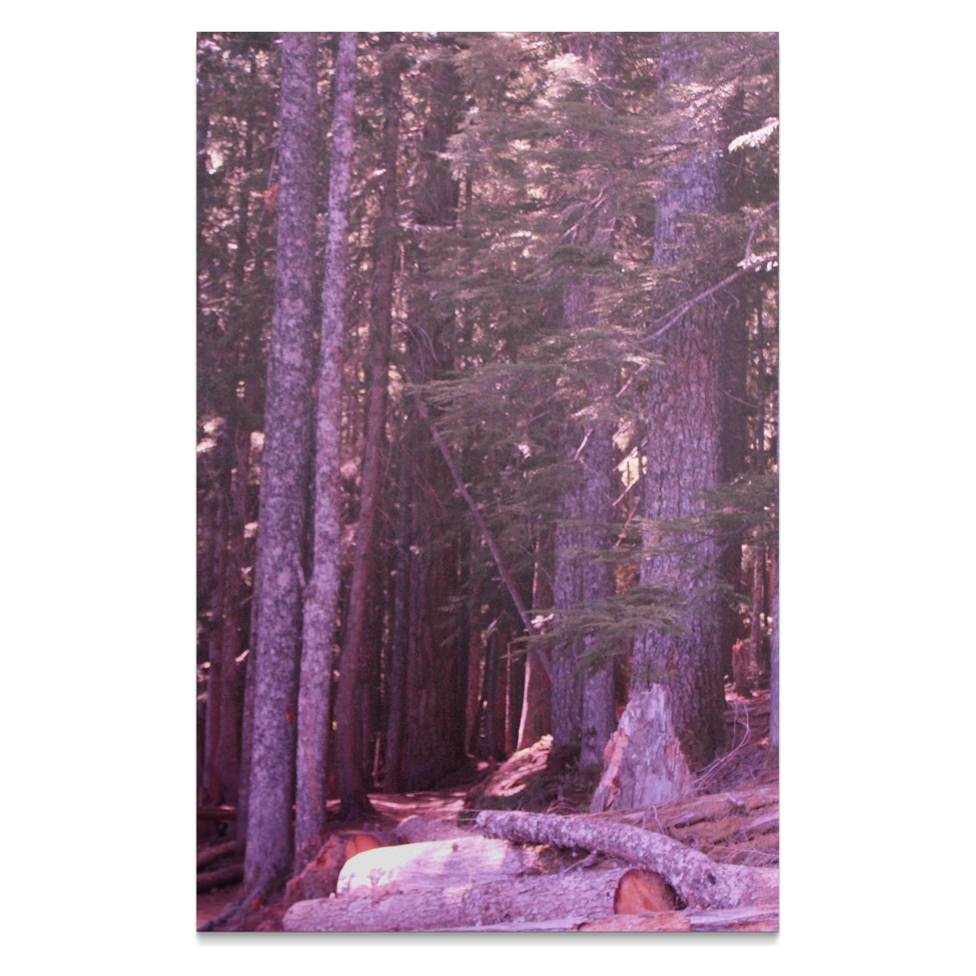 e37690f6-b8d4-4a40-9a99-da37dad445b2