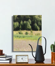 Tranquil Countryside Landscape Printed Canvas product