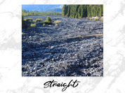 e3b73bdc-00c0-45f4-b9fc-86c6703979ad