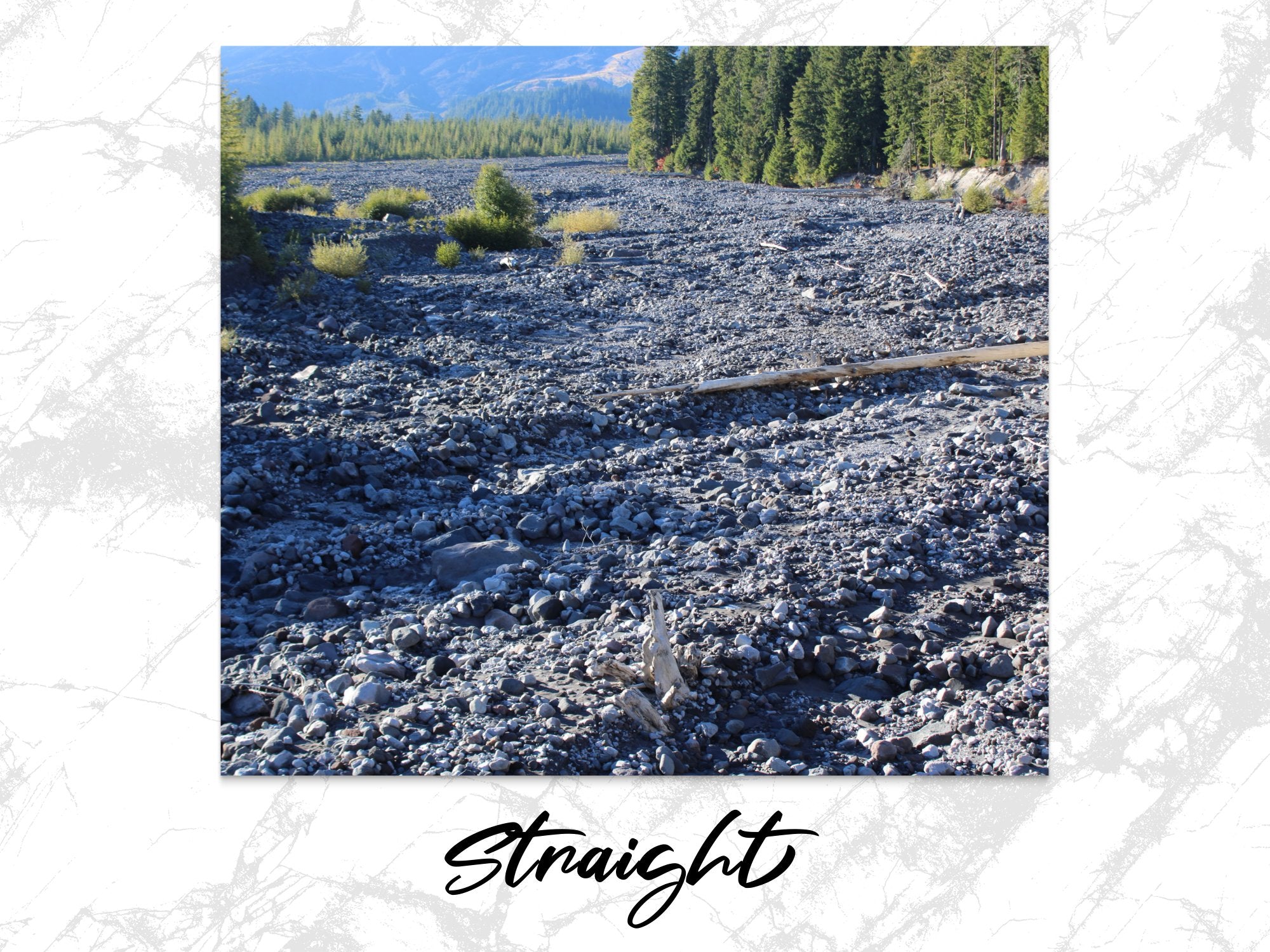 e3b73bdc-00c0-45f4-b9fc-86c6703979ad