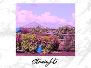 e411a903-01a9-416a-9715-90f6de5c5814