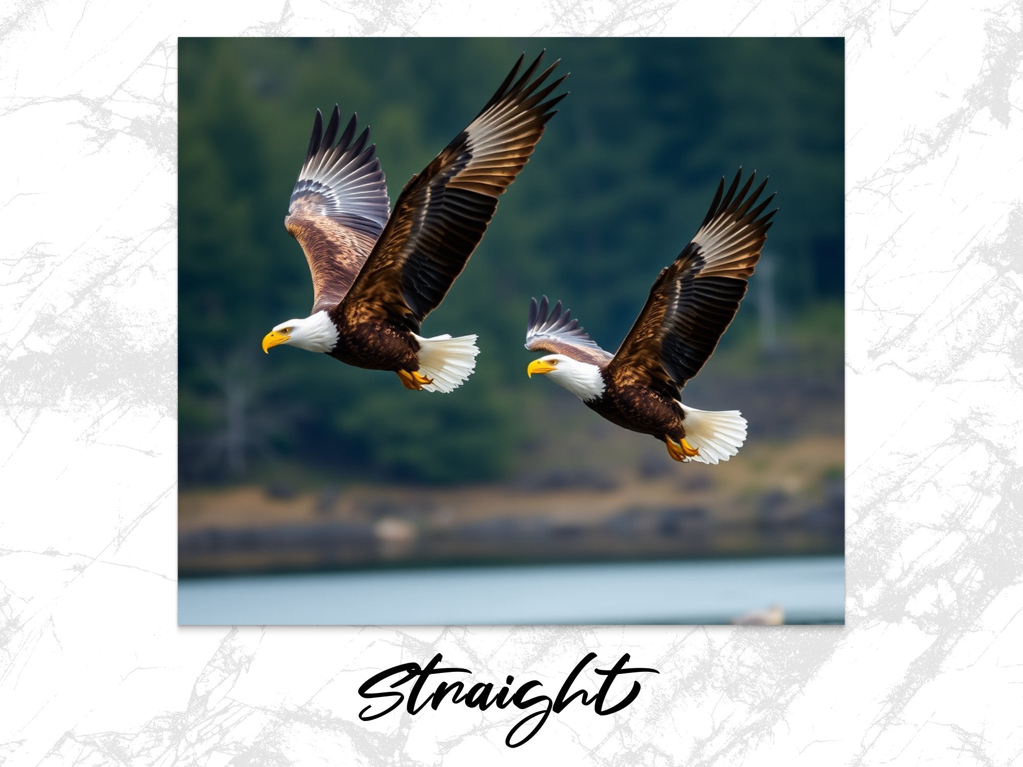 e4503552-b462-43e5-9f79-d356257d6ad8