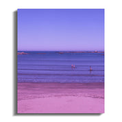 e46f47bb-3fd1-426b-863a-bb587ee41022