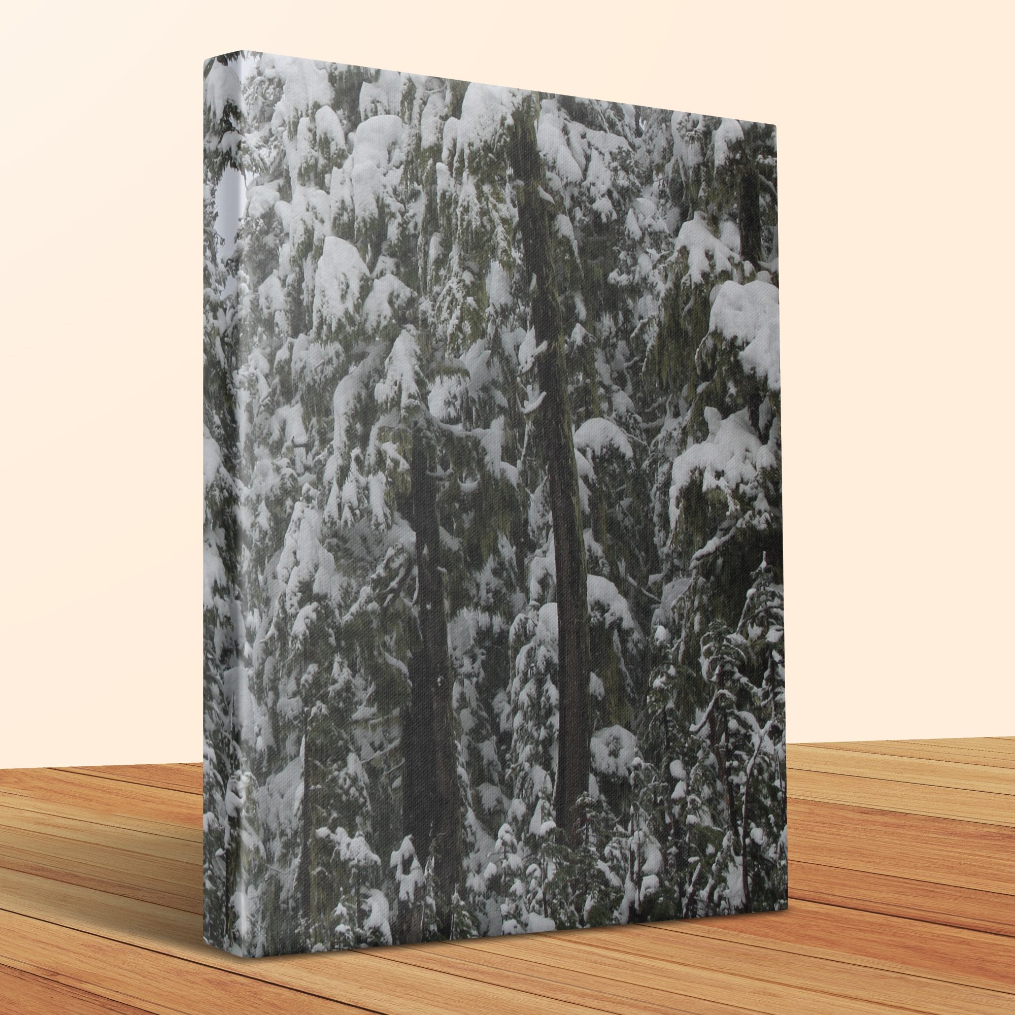 e4cdd627-7258-4496-8d2b-e272b8e7feb7