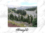 e543deec-c660-4970-bccb-d2a384da0d1f