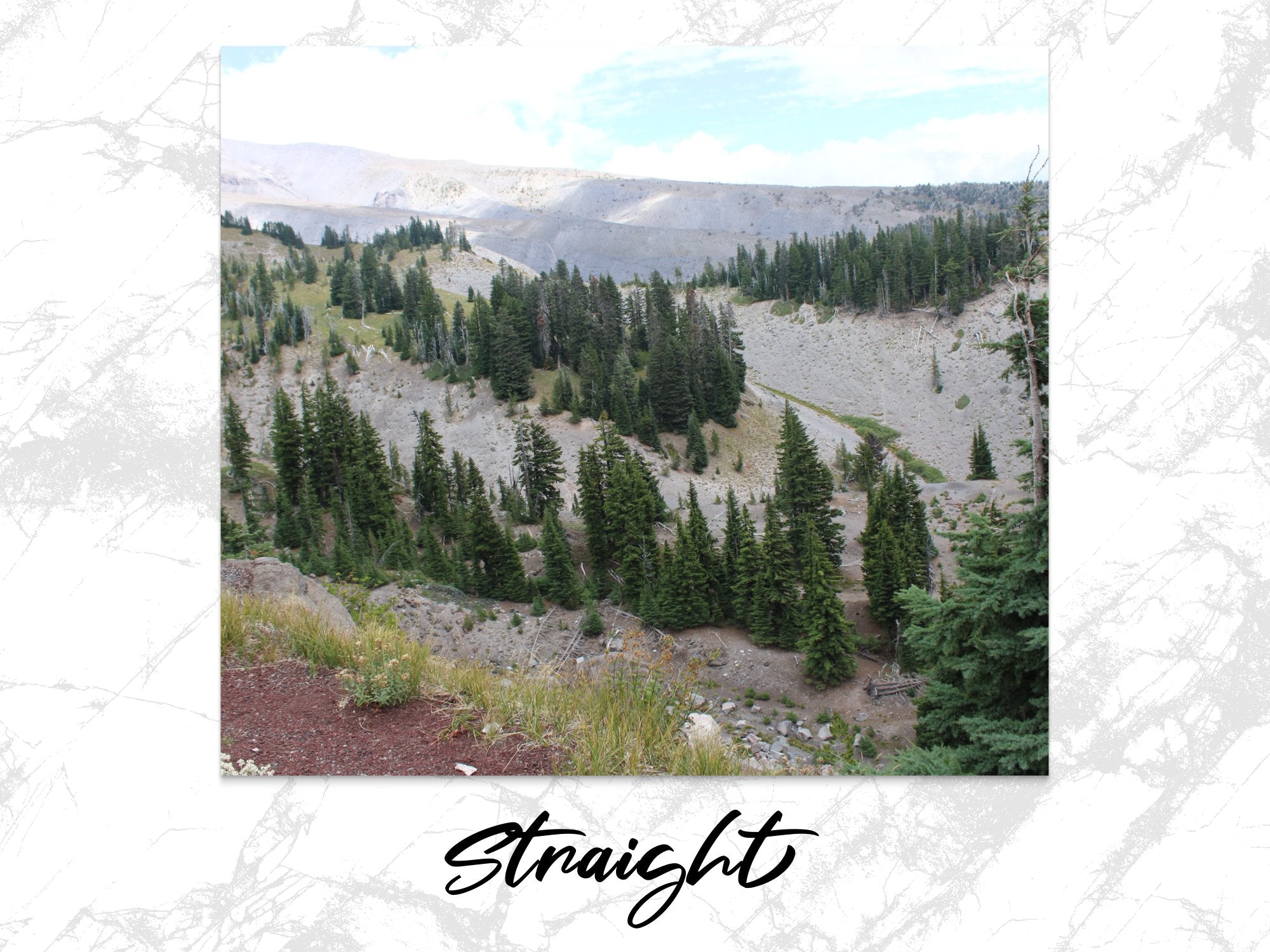 e543deec-c660-4970-bccb-d2a384da0d1f