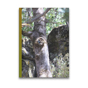 e6095a73-7cdd-40be-b1d7-0275a54d25aa