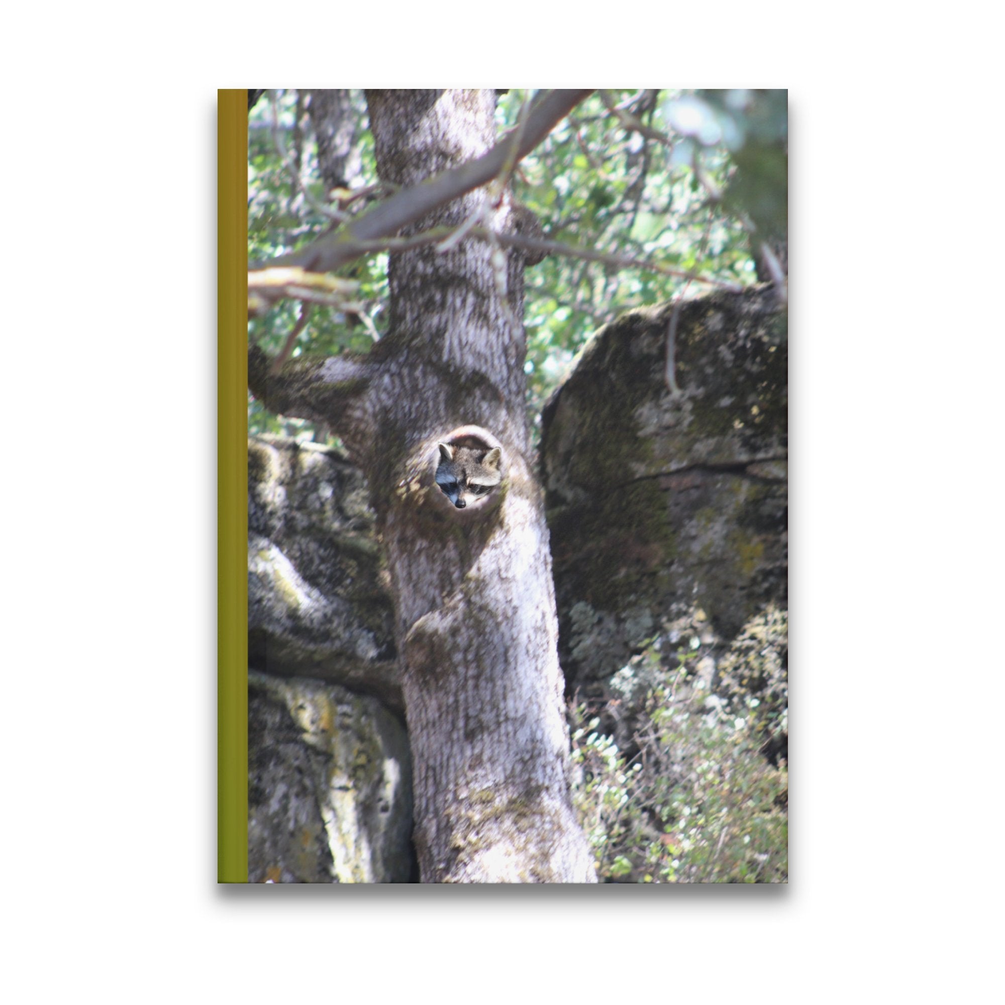 e6095a73-7cdd-40be-b1d7-0275a54d25aa