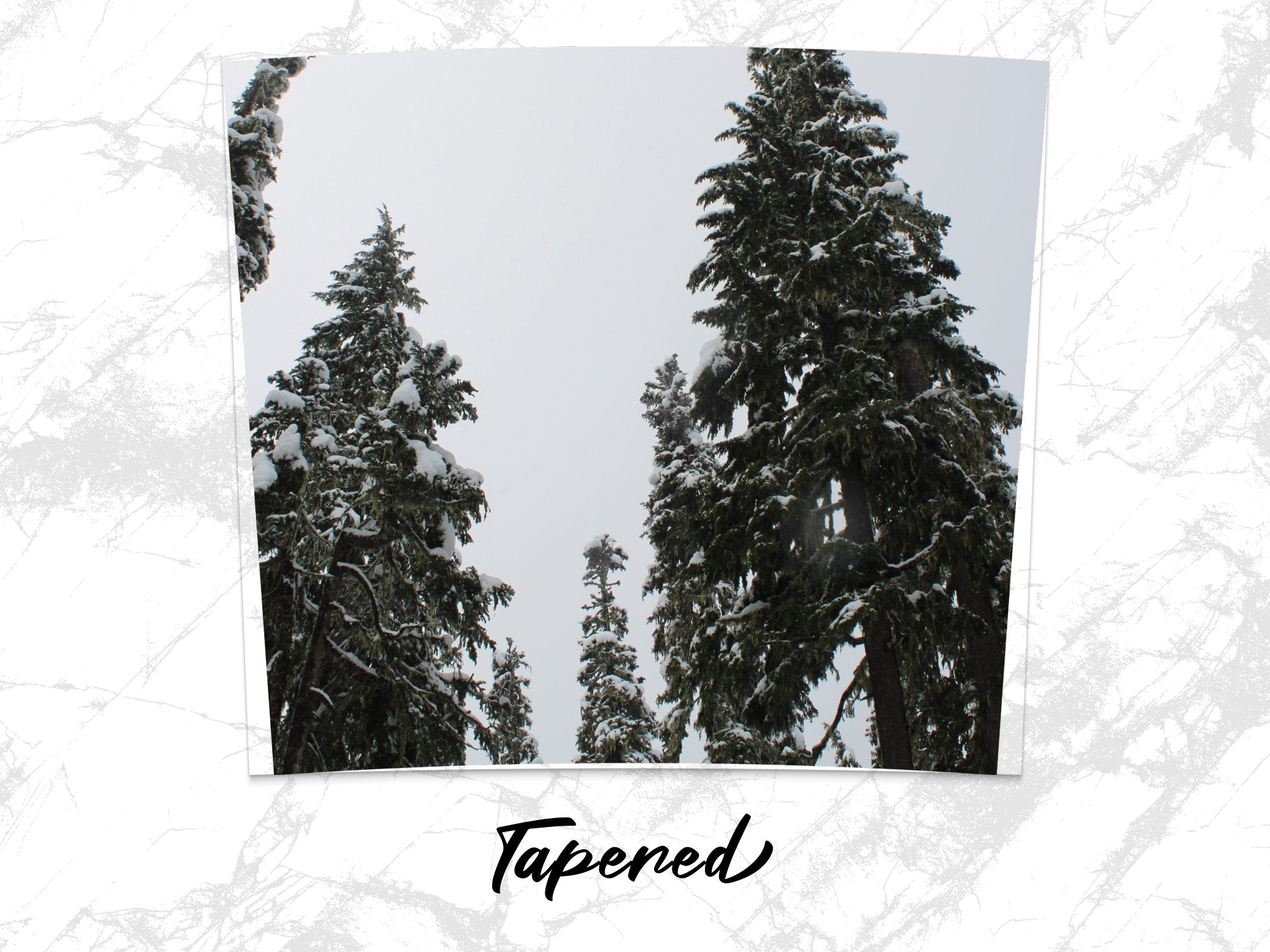 e61c8d59-f618-478d-8686-a795df6d3fcc