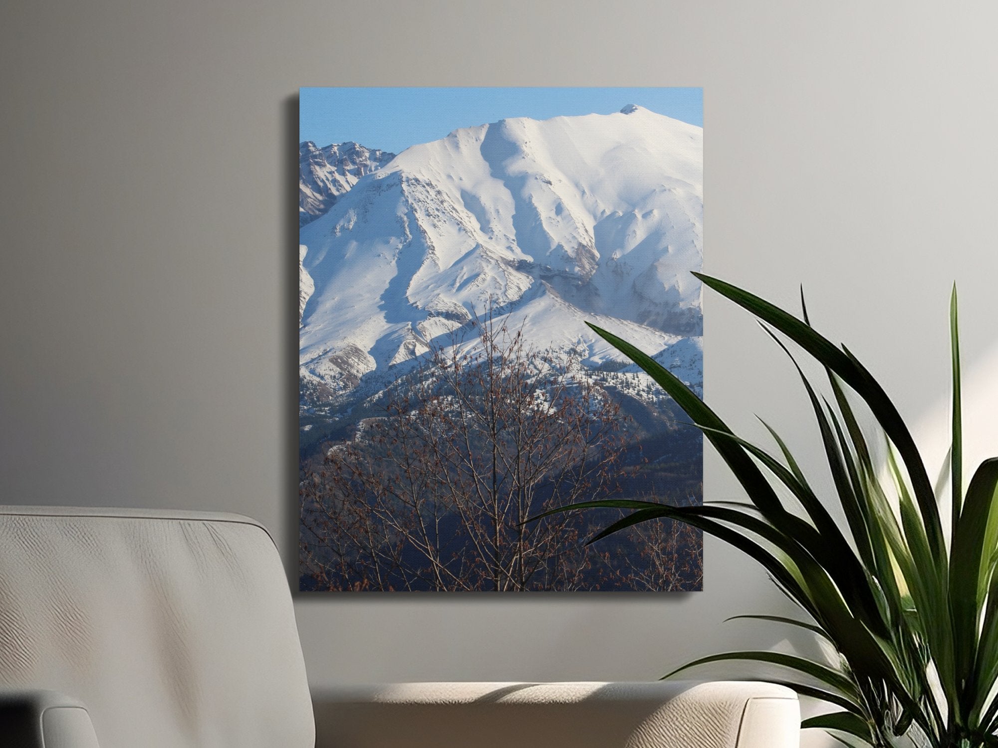 e6984d90-9f18-479c-81aa-7425767a6dc8