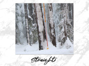 e700c28d-4438-431f-b1b6-7a71fee30a1d