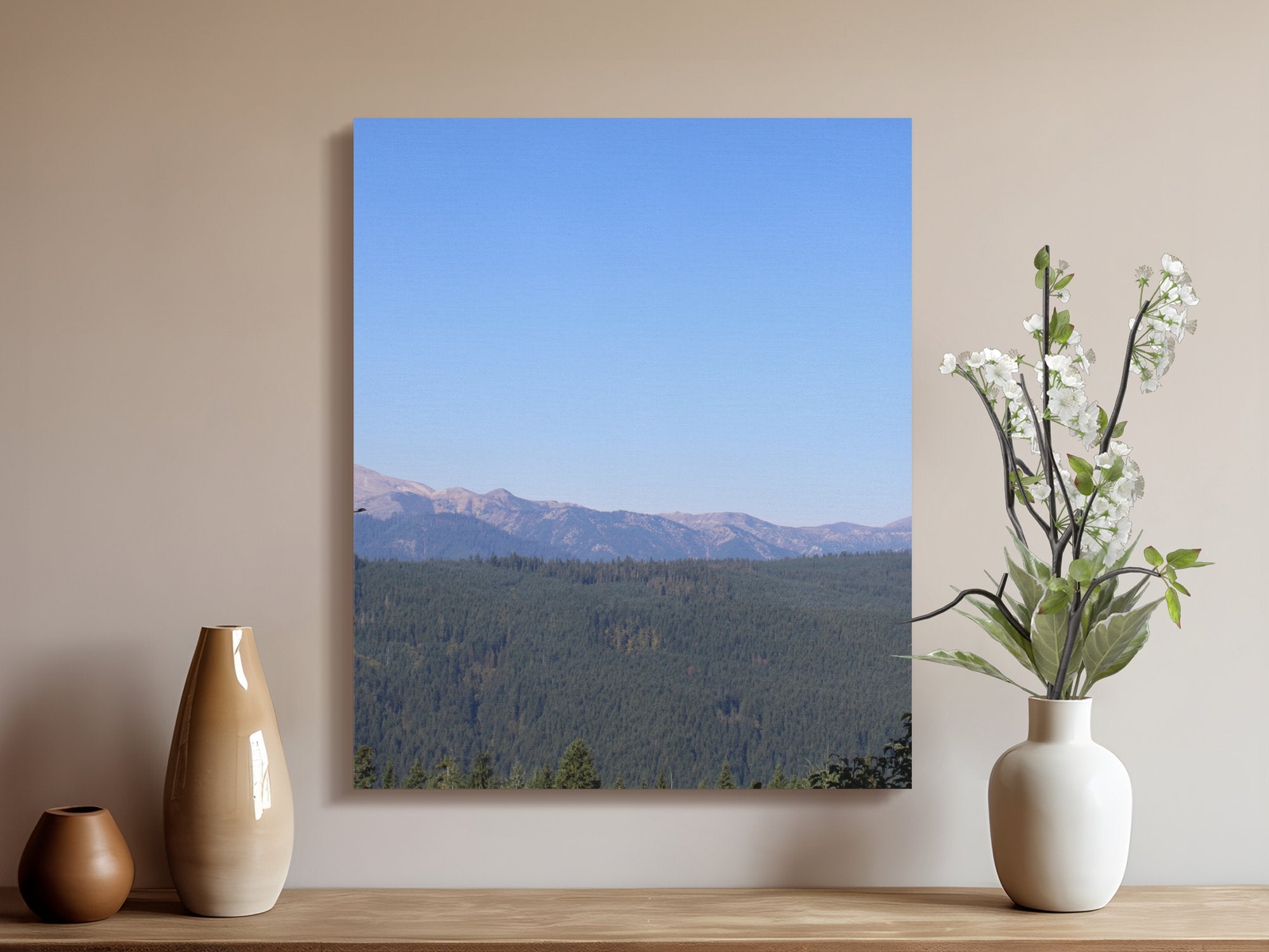 e7d33f07-e748-481a-b6f0-dd03d62d7f75