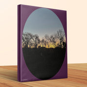 e86facfc-3b38-431e-af0a-93911f6fda09