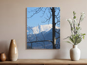 e899a554-2a6d-4ead-8a07-cee7f5b3ad65