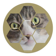 e8b7c6ba-b44b-437c-8932-ff9f2cb27a8a