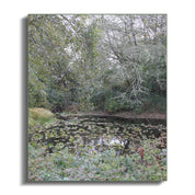 e8c27cab-72c8-4af0-aafc-5bda0fda42b1