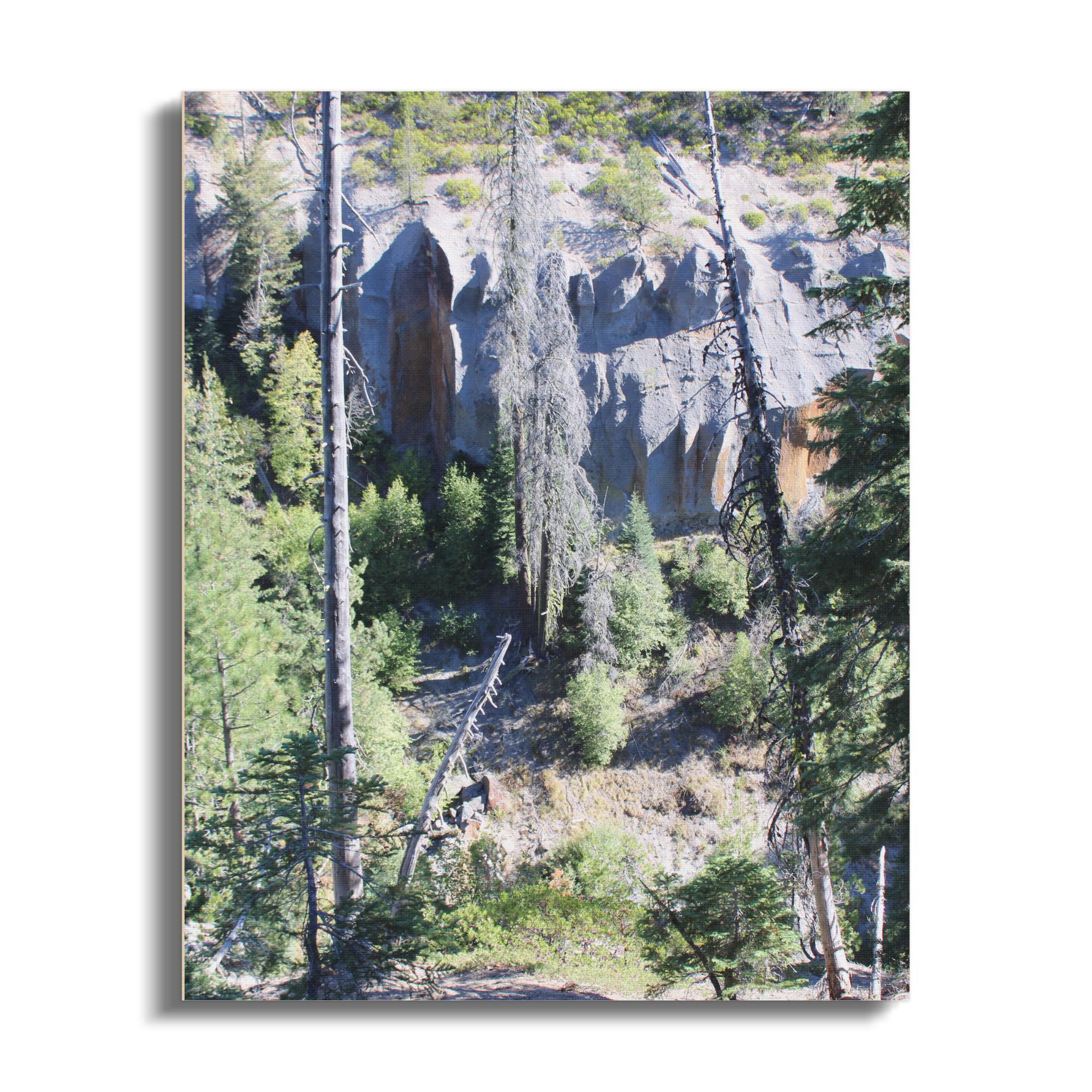 e9f467f5-2dd1-4c10-a6f3-87a72626c878